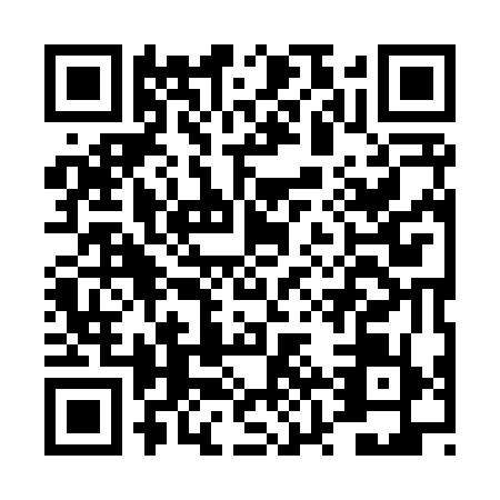 QR code for DZY8795