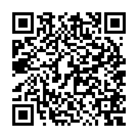 QR code for DZZ2486