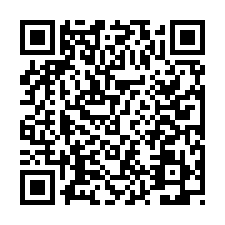 QR code for DZZ9995