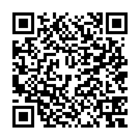 QR code for ECE7387