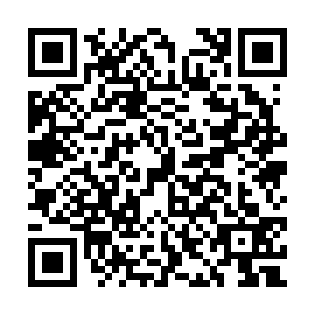 QR code for EIA2333