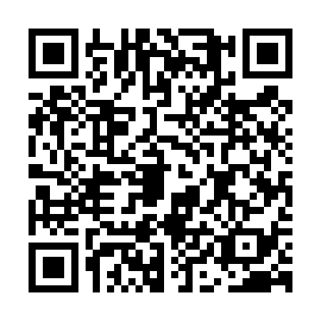 QR code for EIE4391