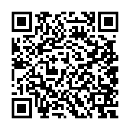 QR code for ELV0438