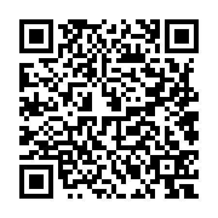 QR code for EMF9333