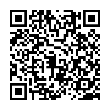 QR code for EUA0384