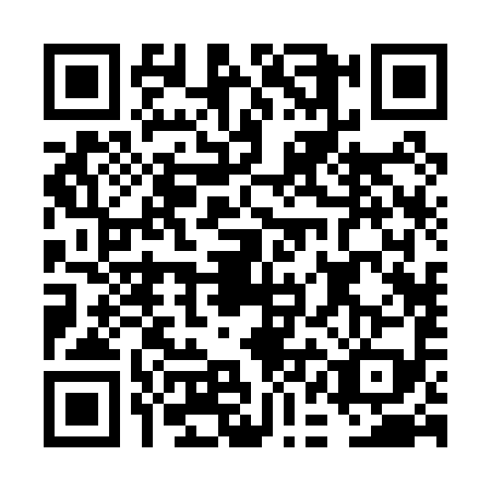 QR code for FAB0991