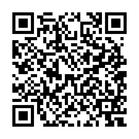 QR code for FAB2938