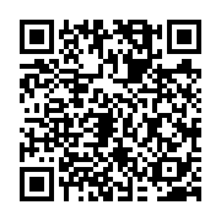 QR code for FCX6381