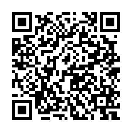 QR code for FDK0453