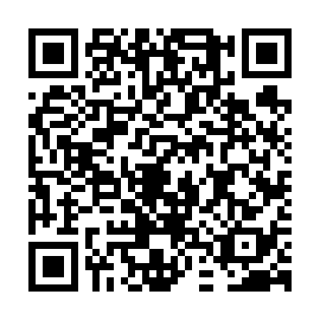 QR code for FDV6380