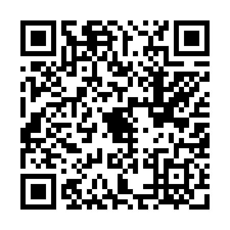 QR code for FEE6387