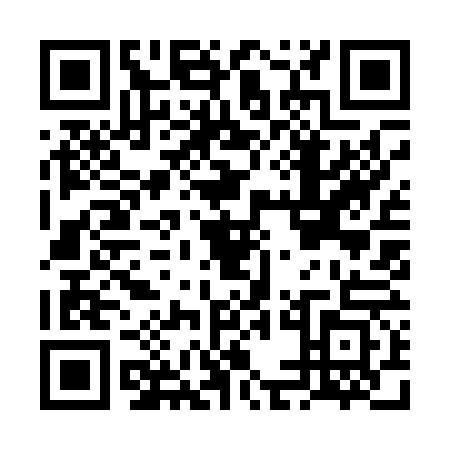 QR code for FEI0636