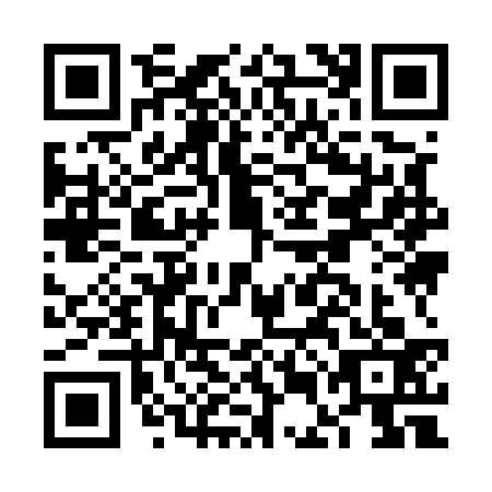 QR code for FEI5334