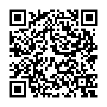 QR code for FEI6397