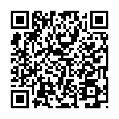 QR code for FEI9741