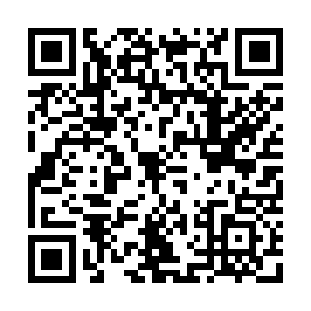 QR code for FFD2336