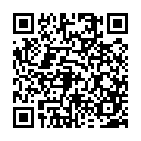 QR code for FFE5463