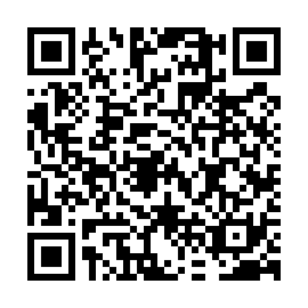 QR code for FFF5311