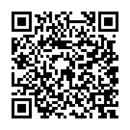 QR code for FIF0595