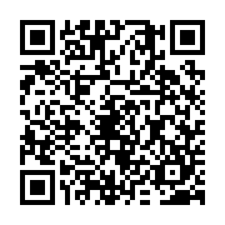 QR code for FIG2446