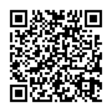 QR code for FIG6295