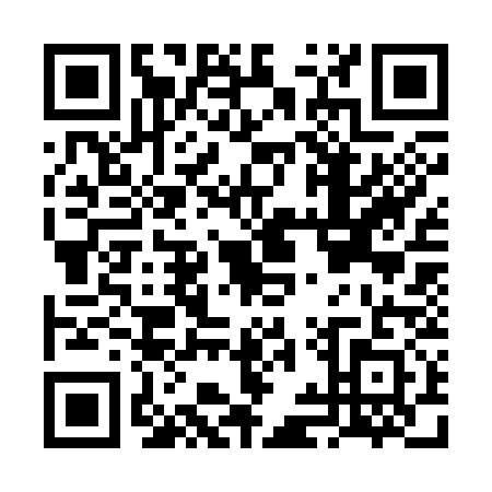 QR code for FIS3316