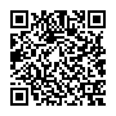 QR code for FIV8304