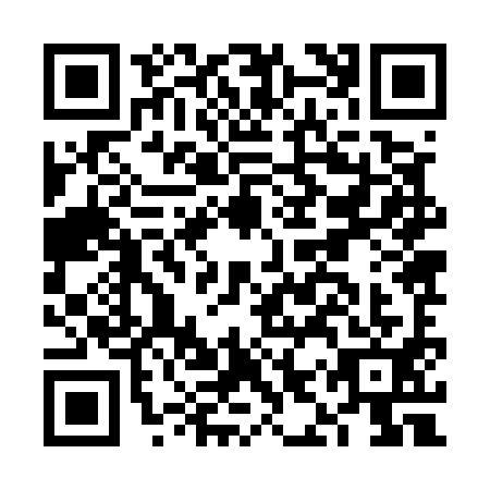 QR code for FIZ5919