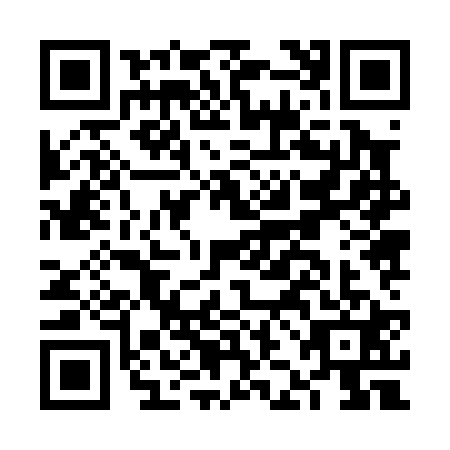 QR code for FJJ0217