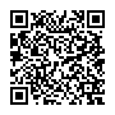 QR code for FJP4228