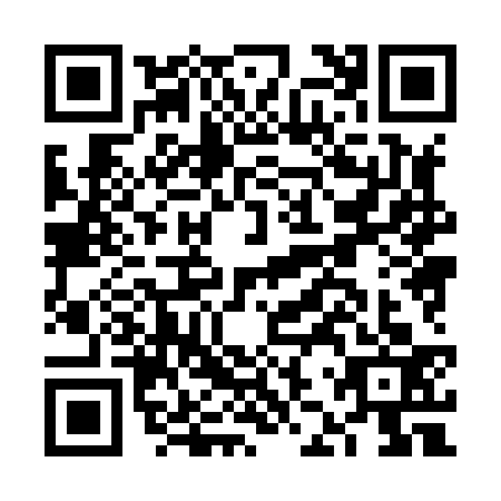 QR code for FJX8335