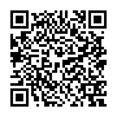 QR code for FJY0739