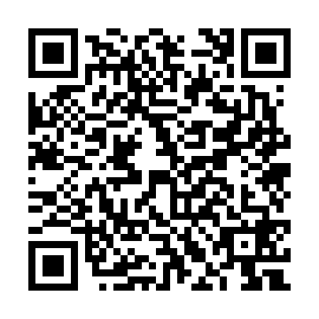 QR code for FLO6685