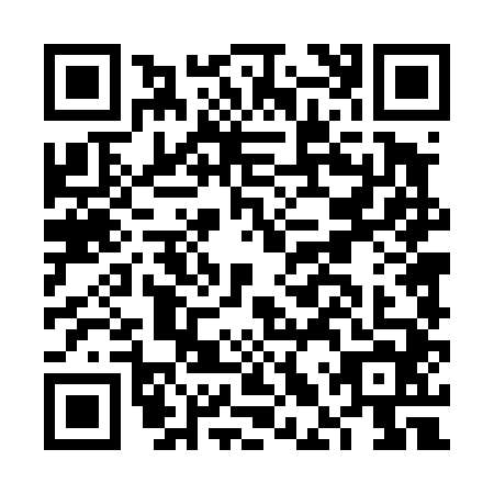 QR code for FLT4447