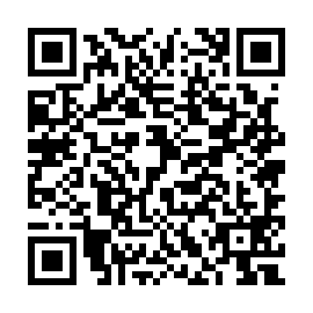 QR code for FLU1993
