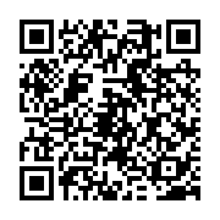 QR code for FLV2381