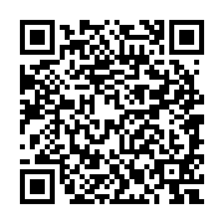QR code for FMT2919