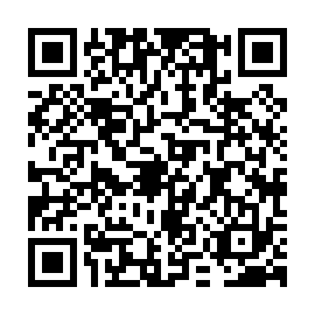 QR code for FMX0333