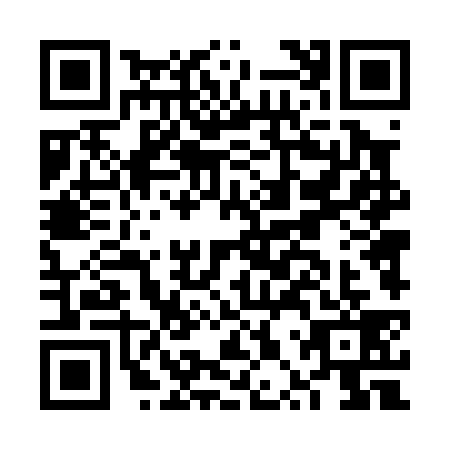 QR code for FPT0397
