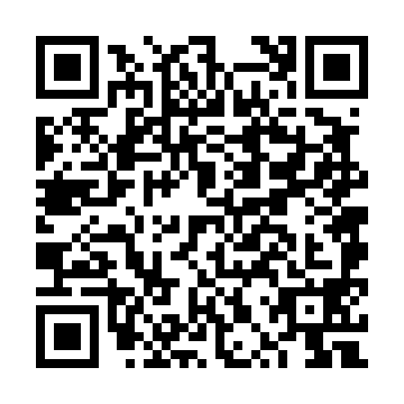 QR code for FPV4988