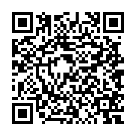 QR code for FSD0049