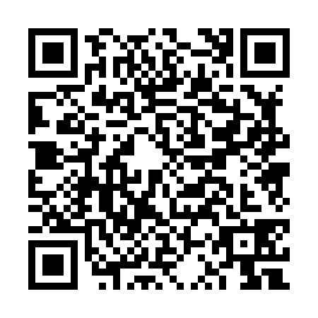 QR code for FSP8382