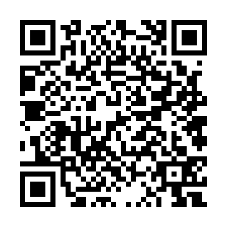 QR code for FSV1333