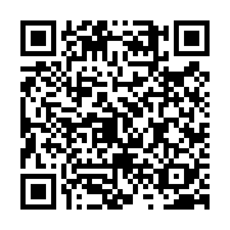 QR code for FVF4295