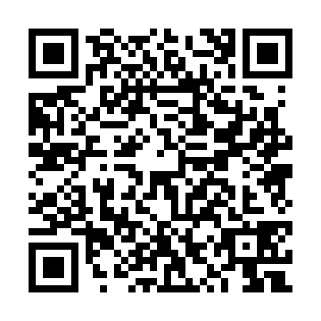 QR code for FYP3384