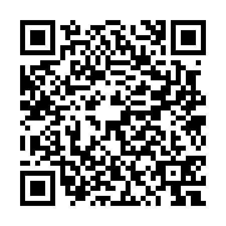 QR code for FYS0315