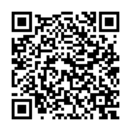 QR code for FYS3261
