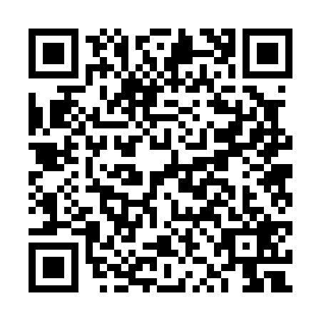 QR code for FZB0296