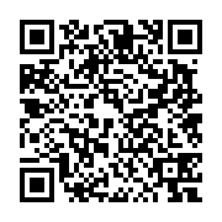 QR code for FZB4387