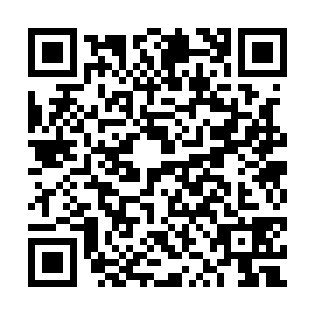 QR code for FZC1381